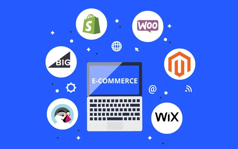How to Maximize ROI with a Professionally Designed E-commerce Platform